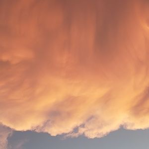 Meet your Posher, Kristy